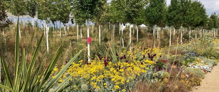Mehr Biodiversität wagen!